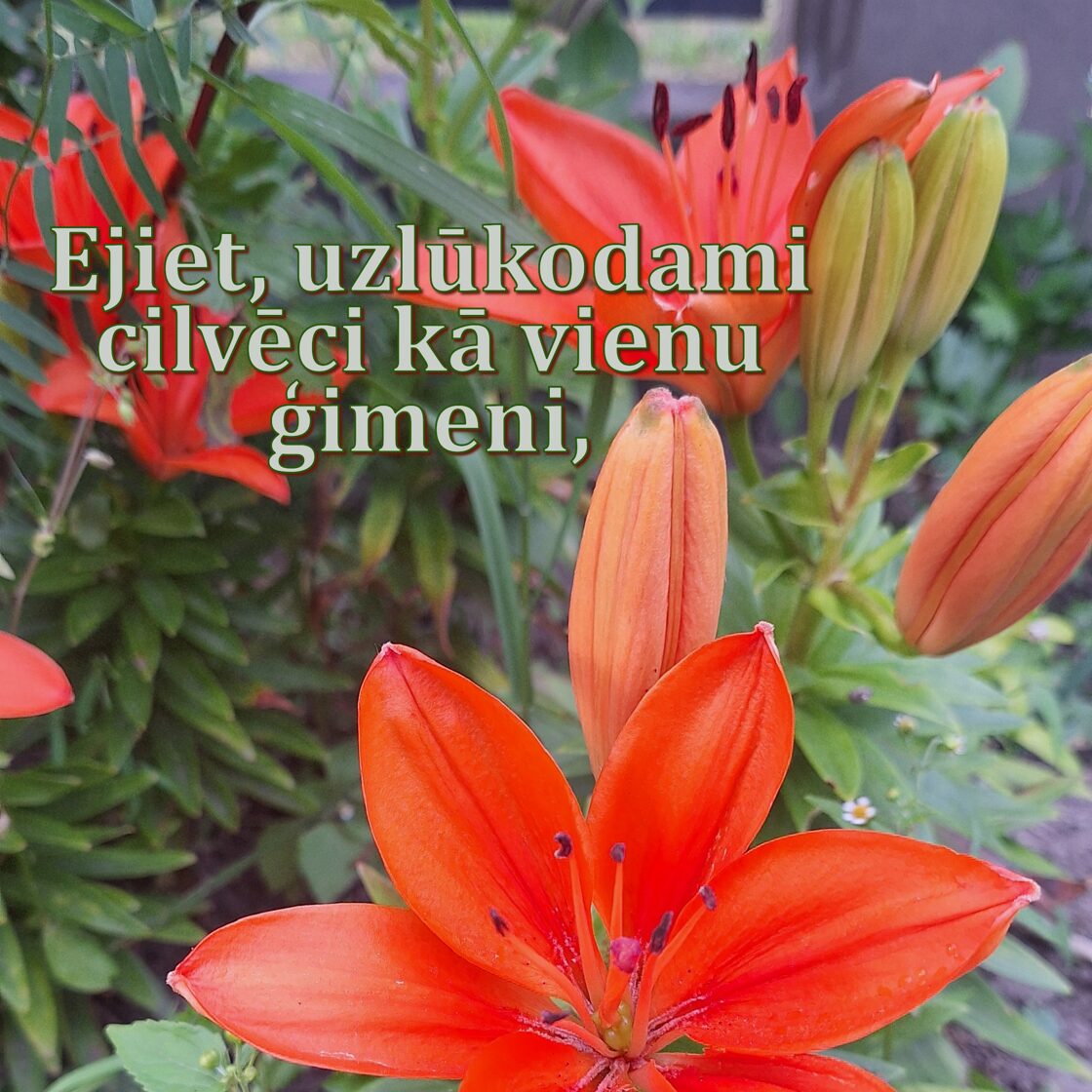 0807_bilde_1_2.JPG