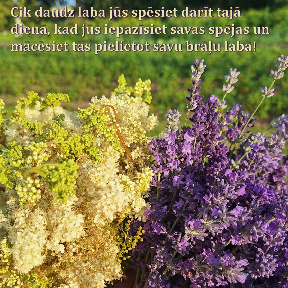 1707_2.JPG