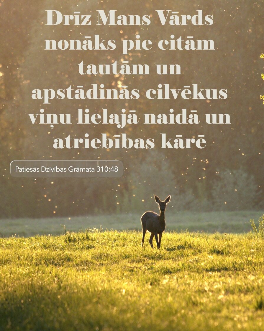 Elena_Cabanenko_1205_2.JPG