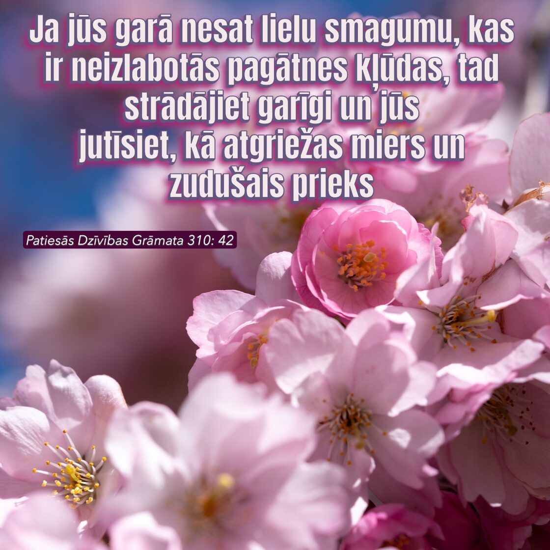 Inta_Burlajeva_2804.JPG