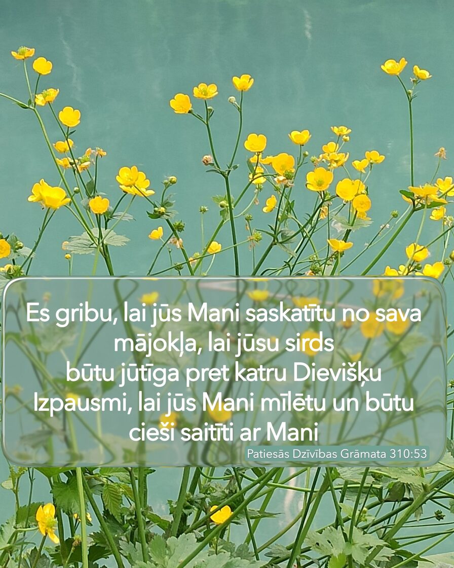 Jelena_Skripnika_0206.JPG