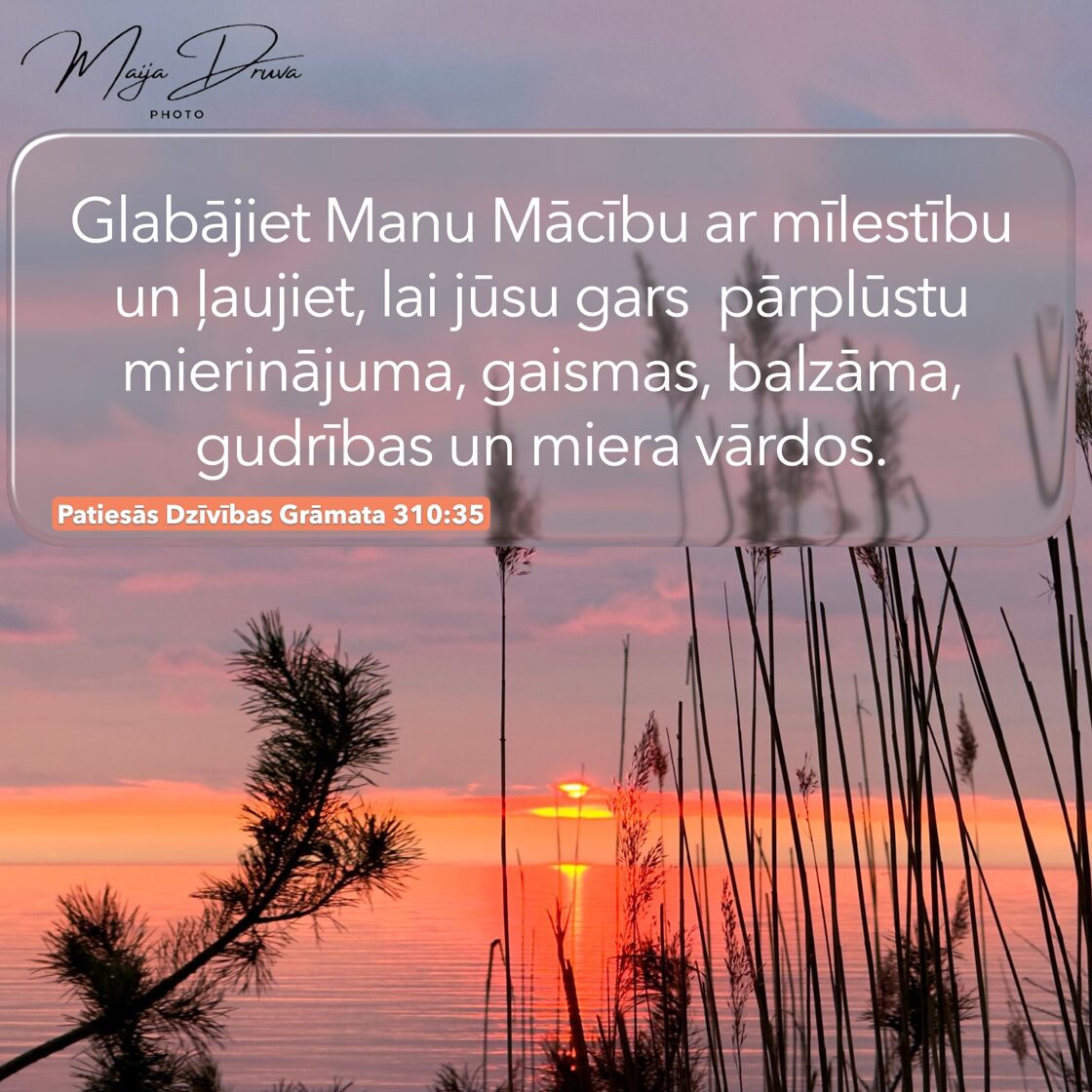 Maija_Druva_2603_2.JPG